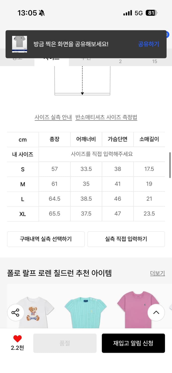 폴로 빅 포니 코튼 메시 폴로 셔츠 라이트 그레이 M 상품이미지2