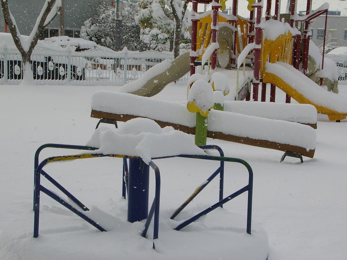 작례/풀박) Pentax optio mx4 펜탁스 빈티지 캠코더 디카 상품이미지8