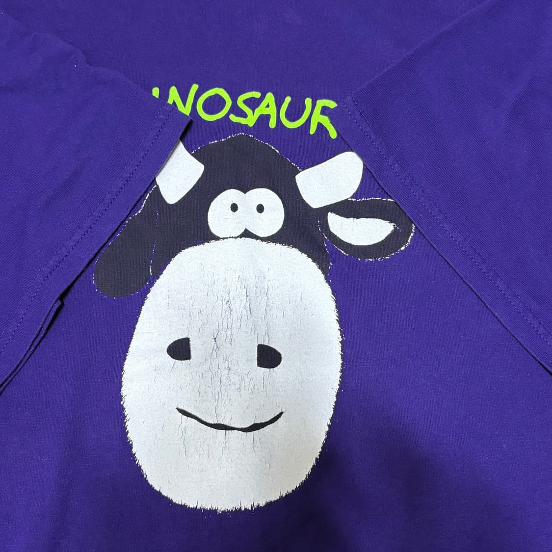 Dinosaur Jr T-shirt 상품이미지4