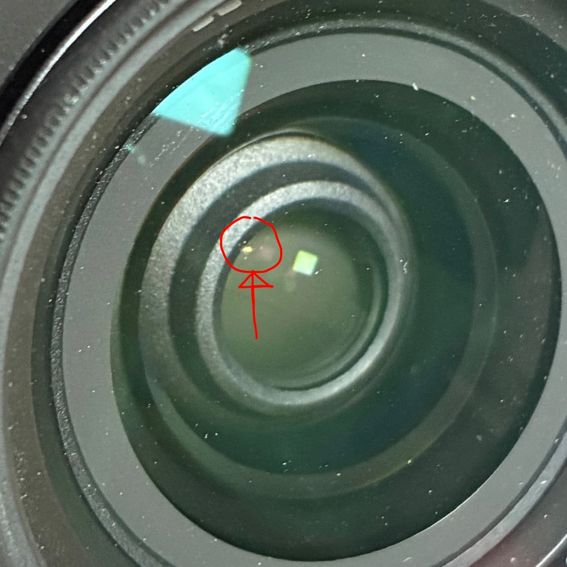 [작례O] 라이카 d-lux 109 빈티지 디카 상품이미지5