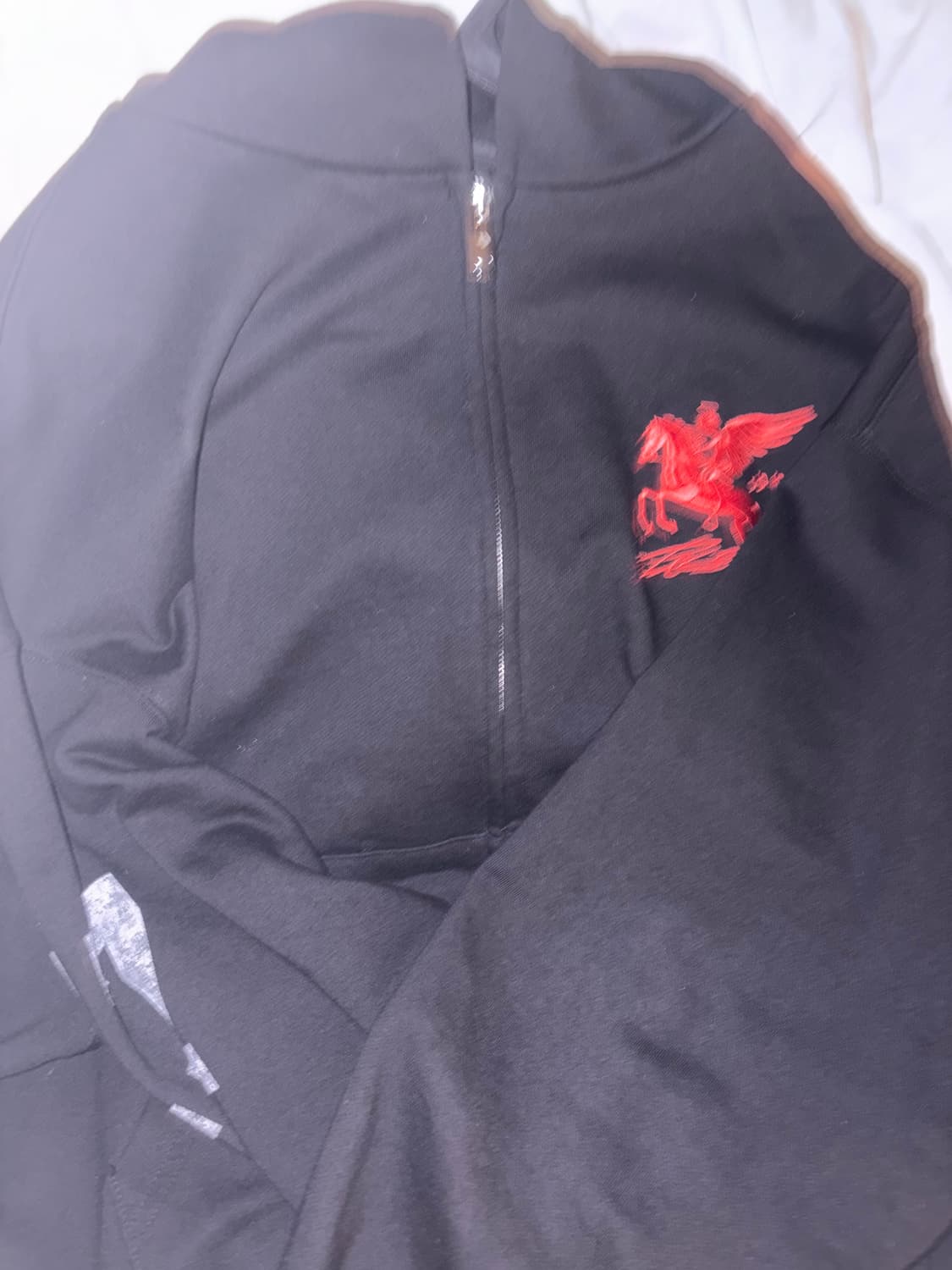 파코서플라이 폴링 엔젤 후드 집업 2사이즈 상품이미지2