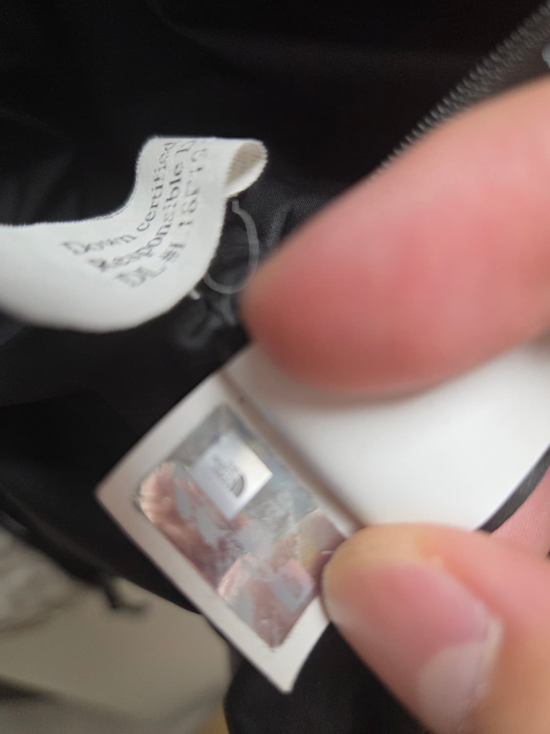 슈프림 노스페이스 페이퍼 눕시 상품이미지8