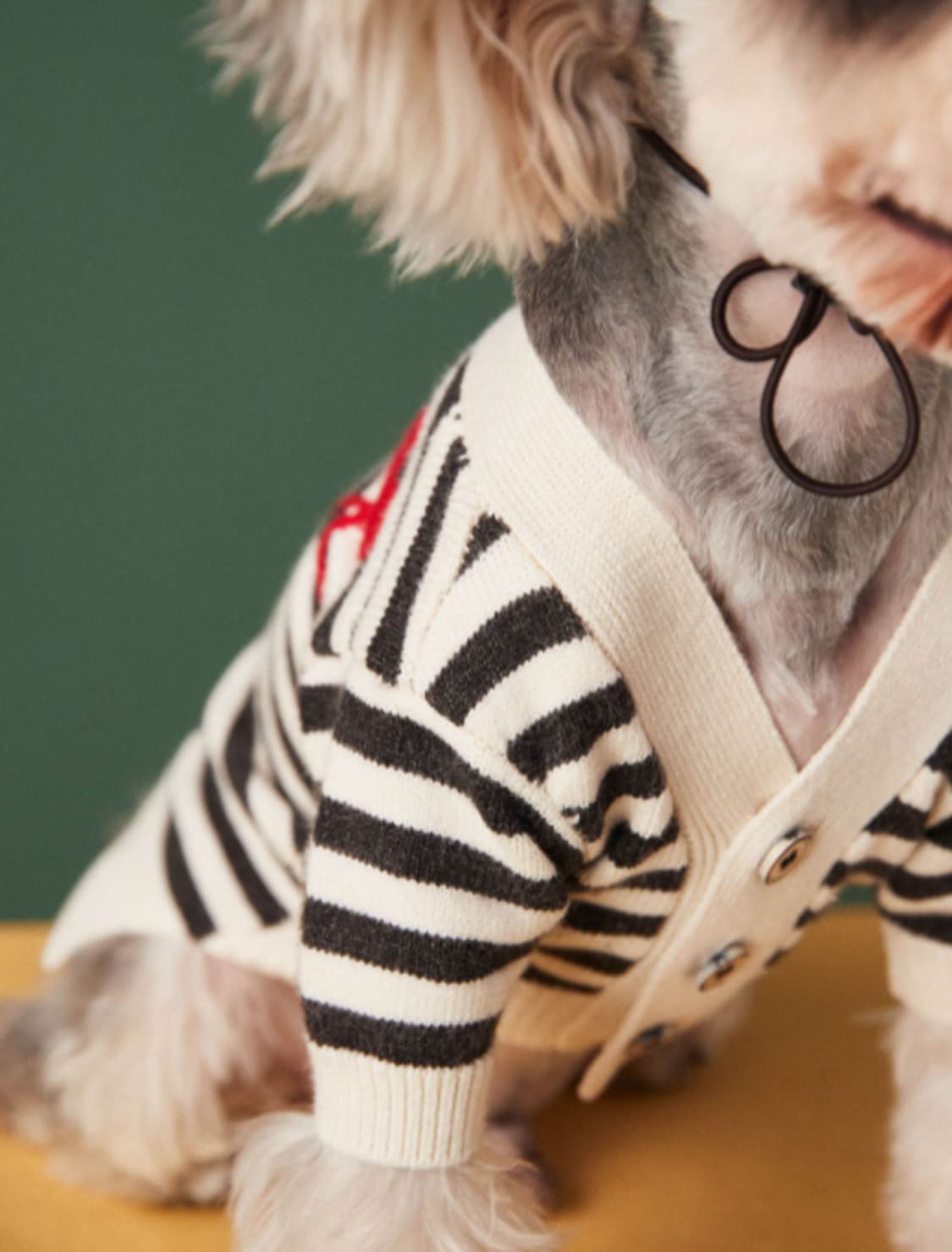 블랙스트라이프 강아지 니트 가디건 상품이미지2