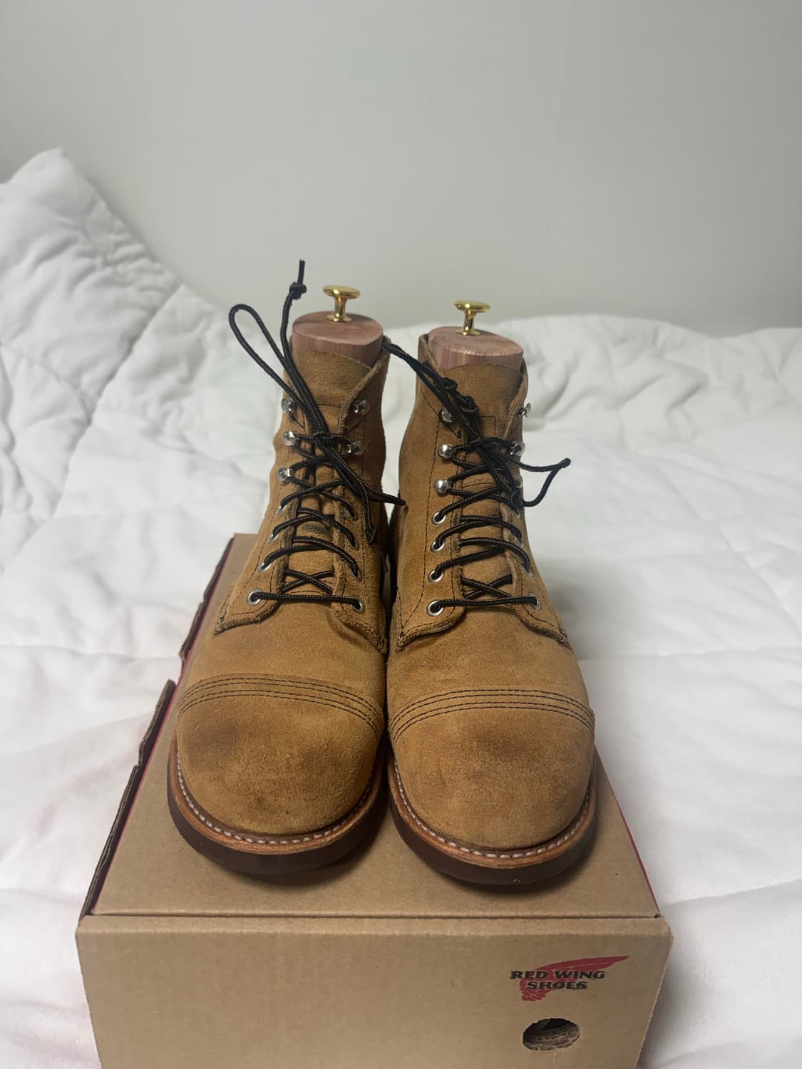 레드윙 8083 8.5 EE 팩토리세컨 상품이미지1