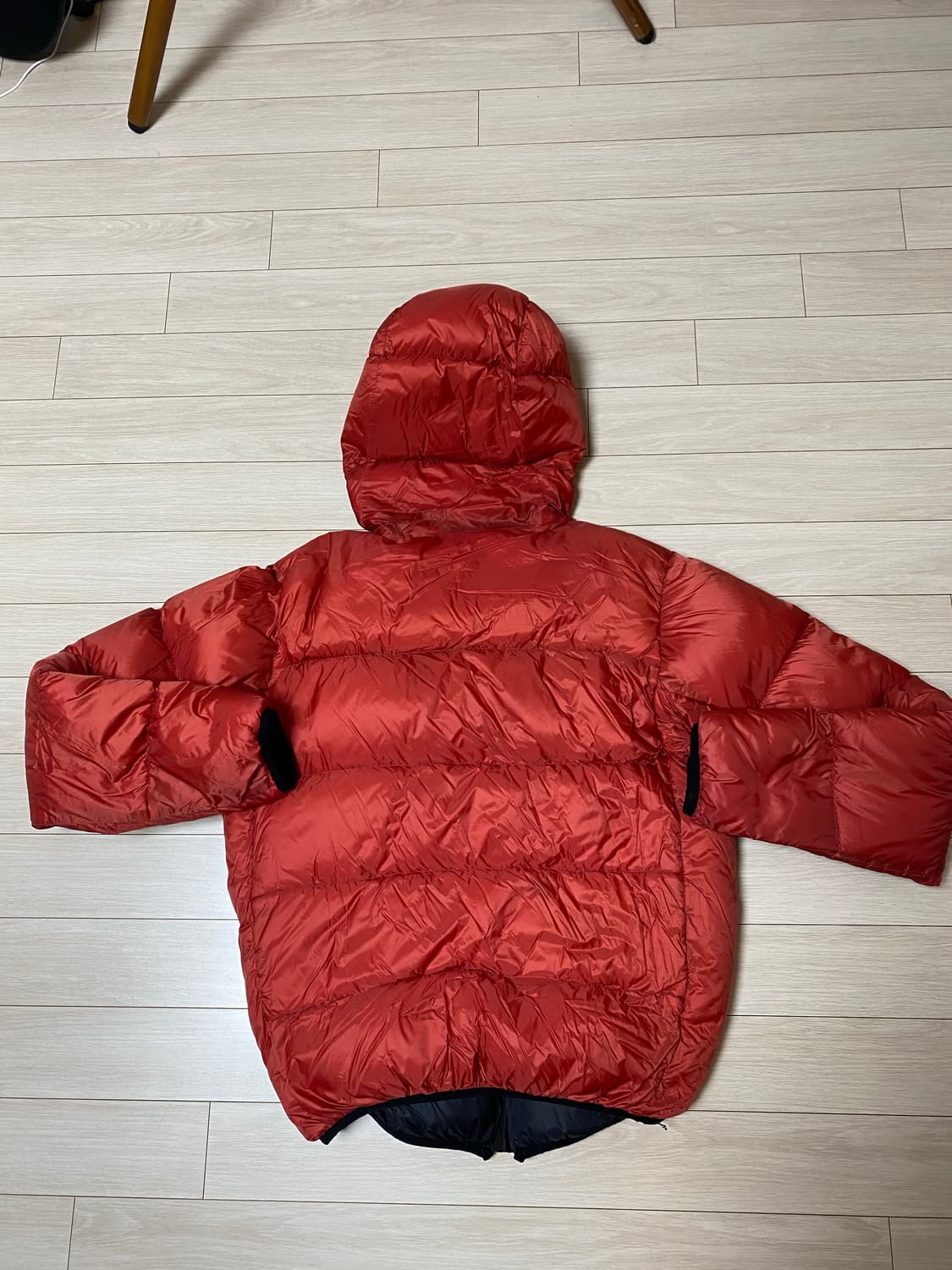 페더드프렌즈 헬리오스 M 상품이미지2