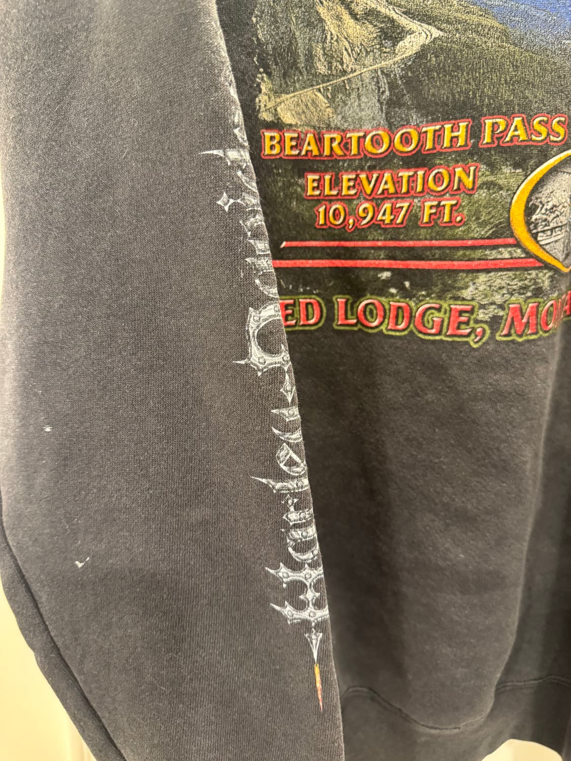 90s할리데이비슨 체인로고 후디 상품이미지5