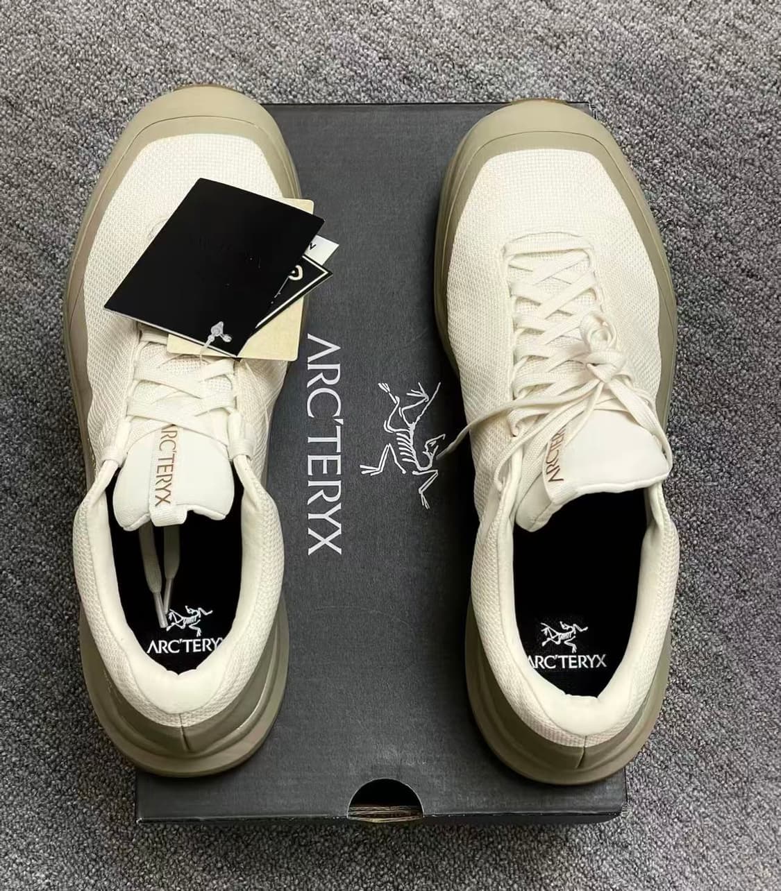 아크테릭스 에어리어스 FL 2 고어텍스 아크틱 실크 스모크 상품이미지2