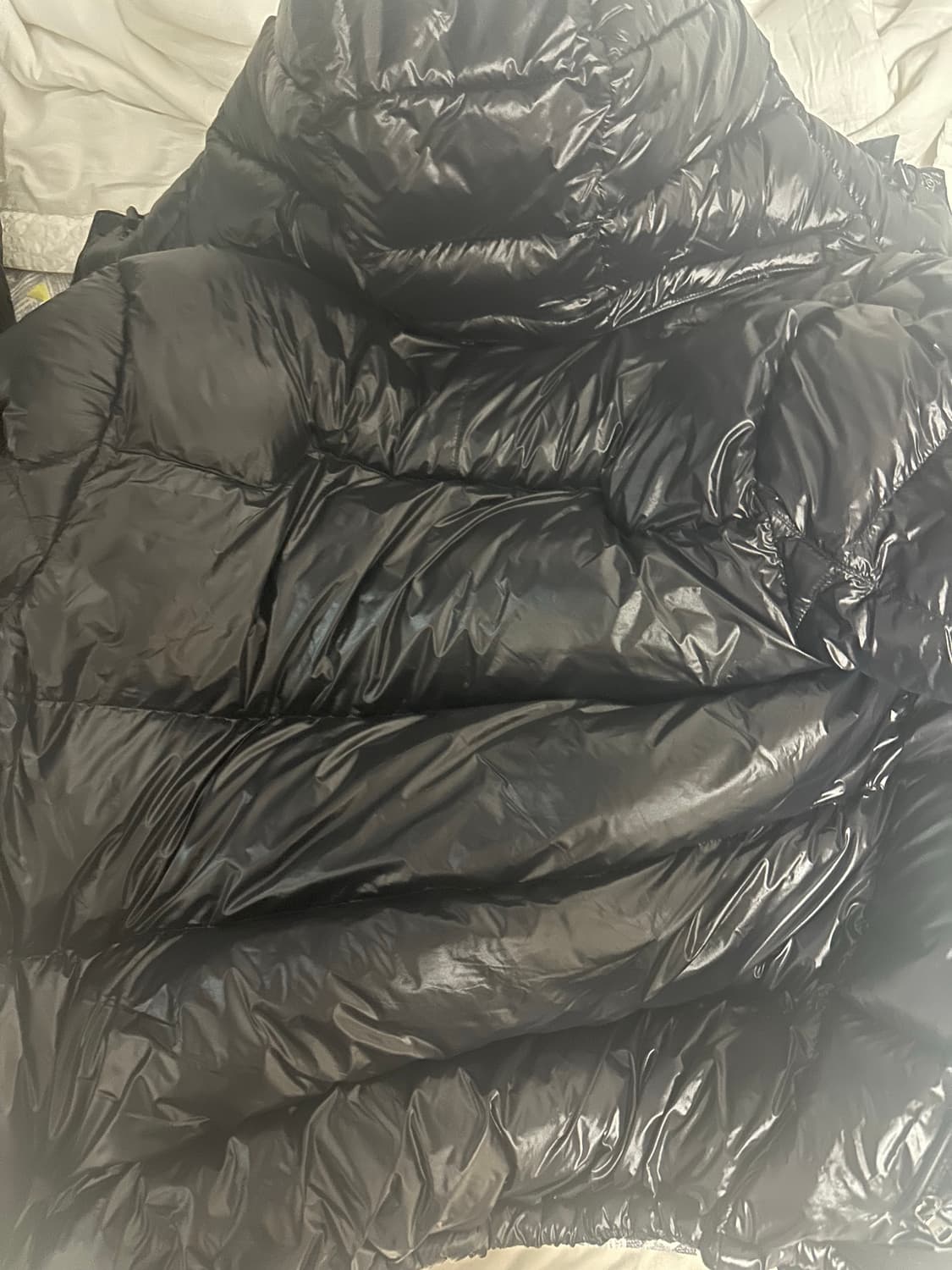 폴로 유광 패딩 상품이미지3