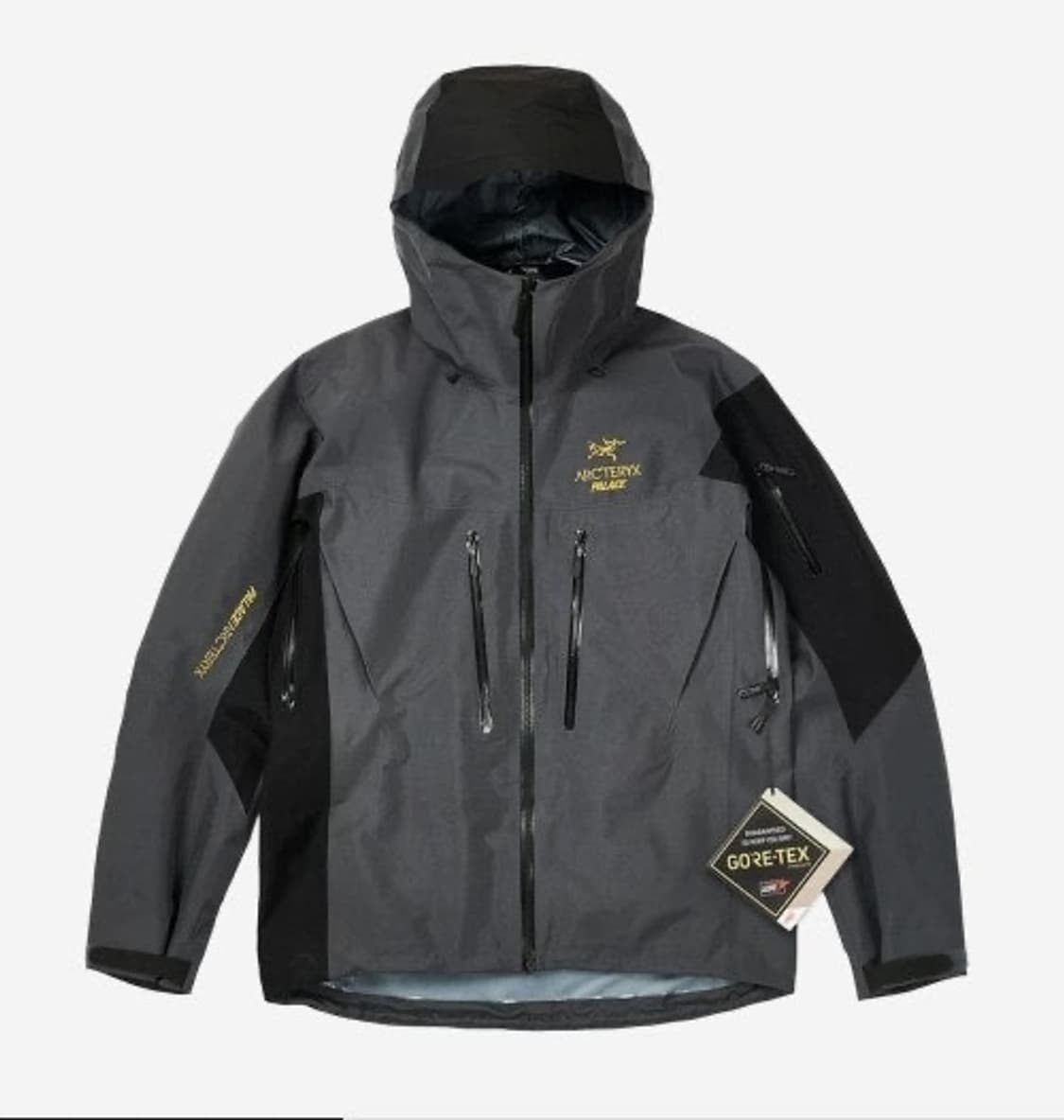 [L] 아크테릭스 팔라스 알파 sv  상품이미지1