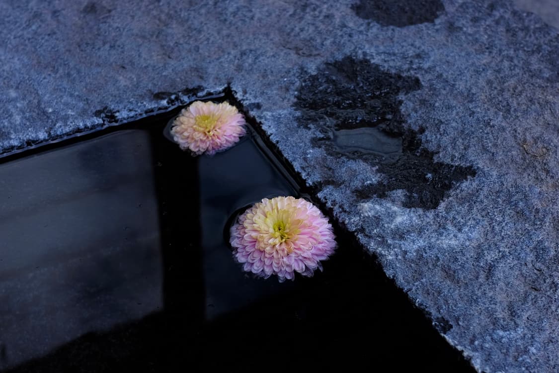 후지필름 X70 상품이미지6