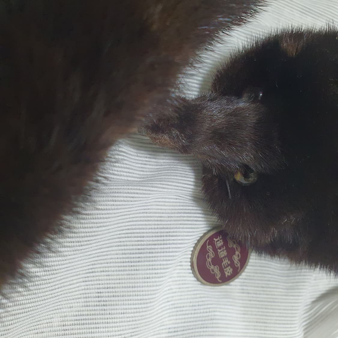 진도 밍크 목도리 125cm 상품이미지5