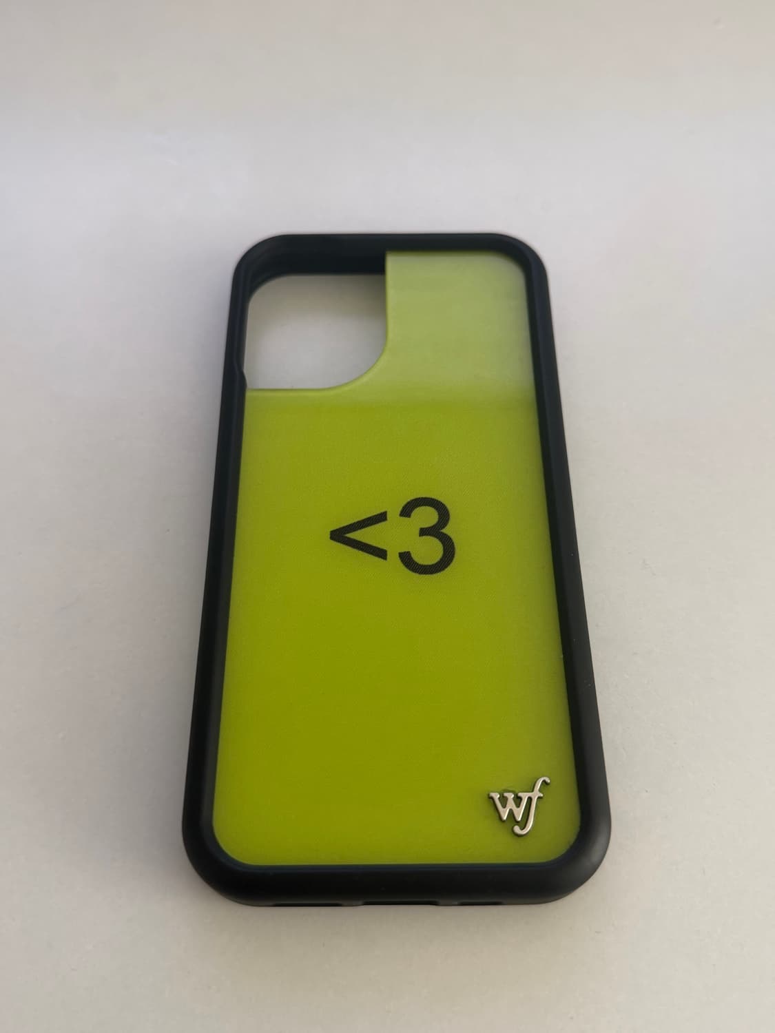 와일드플라워 아이폰 16 케이스 brat 상품이미지1