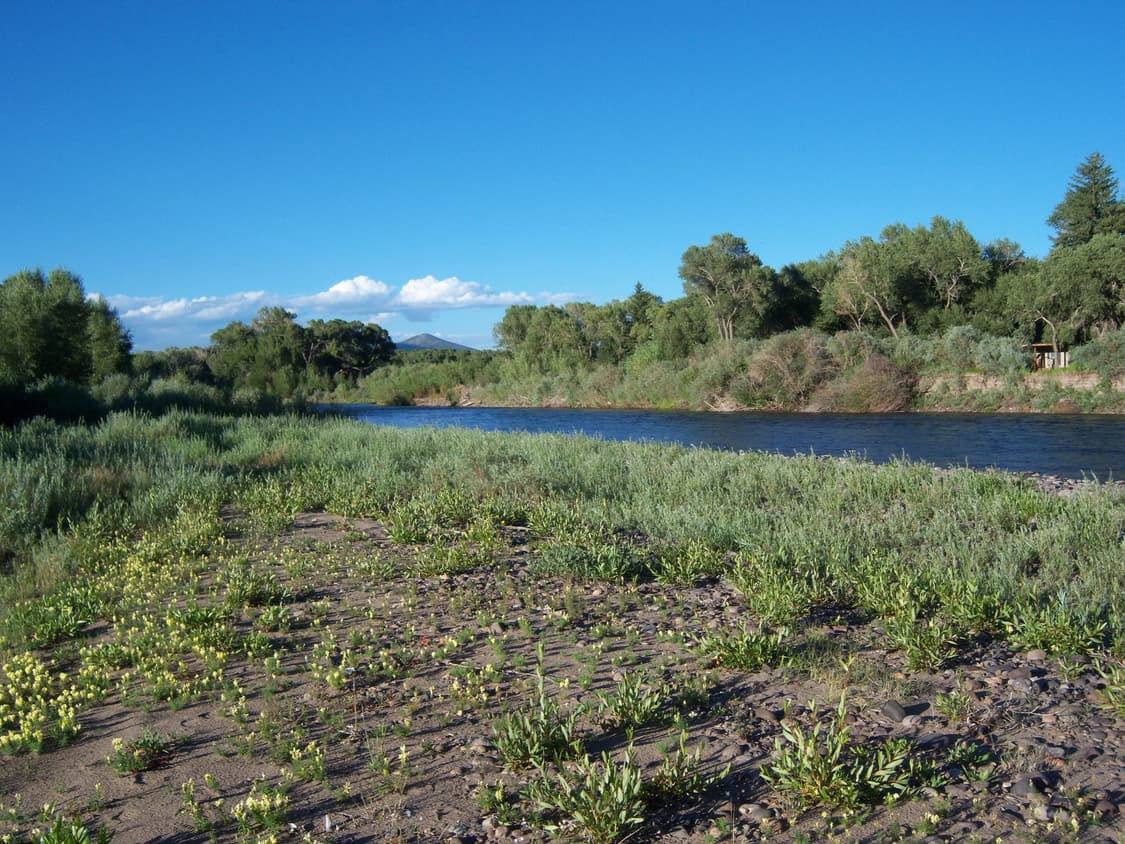 코닥  이지쉐어 R502 핑크 Kodak Easyshare R502 상품이미지10