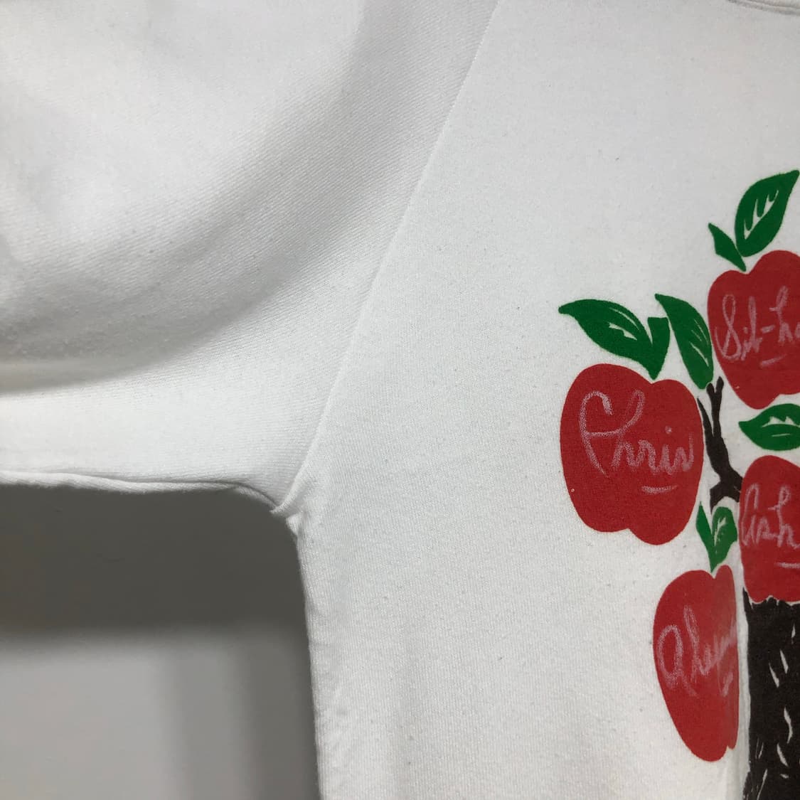 80s USA FRUIT OF THE LOOM SweatShirt 맨투맨 상품이미지4