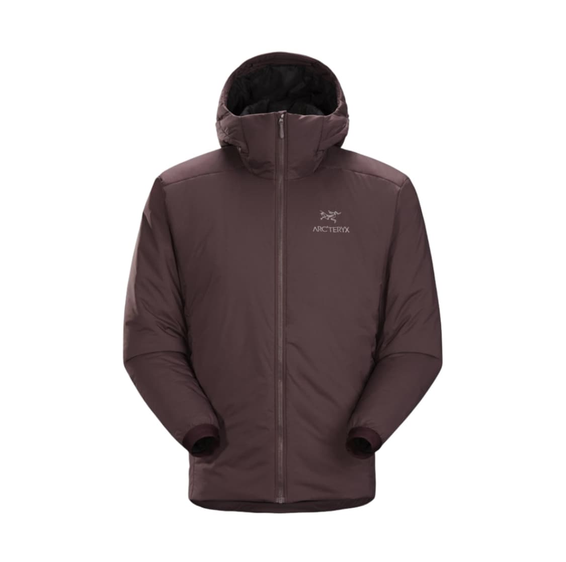 아크테릭스 아톰 AR 후디 피그먼트  상품이미지2