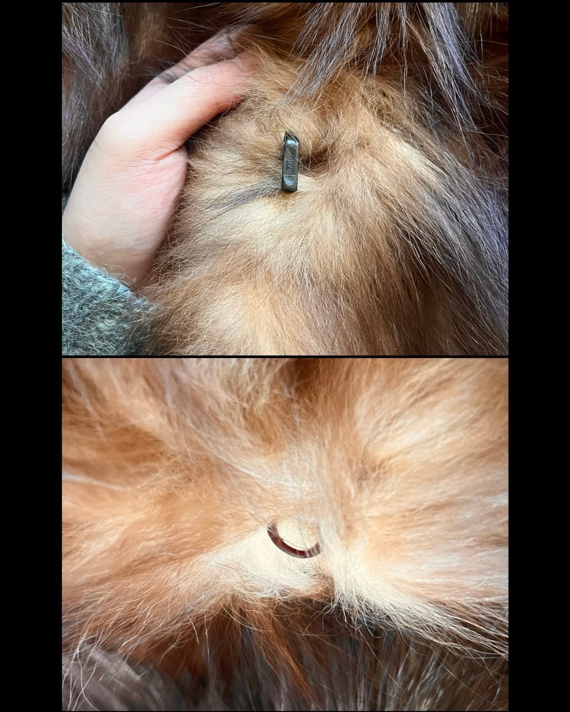 SAGA Fox Real Brown Fur Dolman Coat 상품이미지8