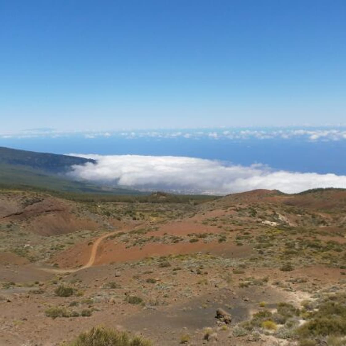 🎀 [한국어지원] 올림푸스 VG110 실버 판매합니다 ✨ 상품이미지9