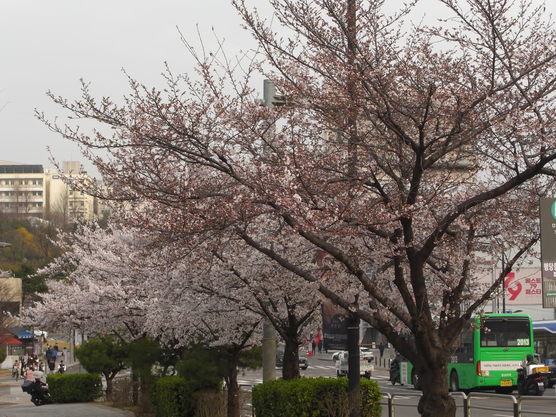 작례O 하자X카시오 엑슬림 ex-z1080 디지털카메라 소프트플래쉬 디카 상품이미지5