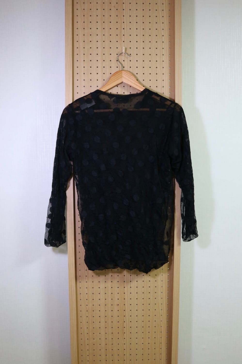 Tricot Dot Sheer Top 상품이미지5