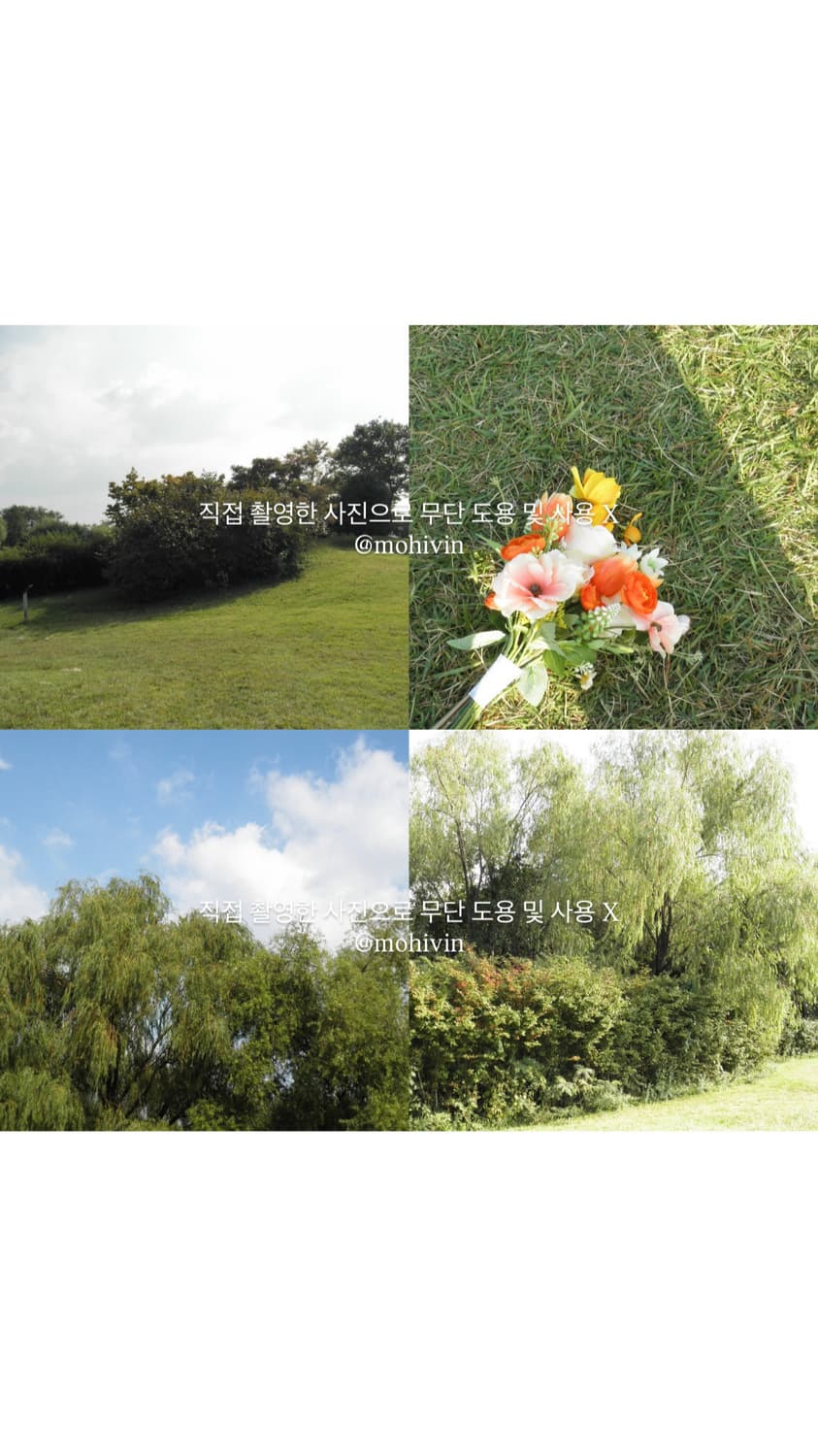 (작례) 올림푸스 뮤7040 블루 디카 상품이미지8