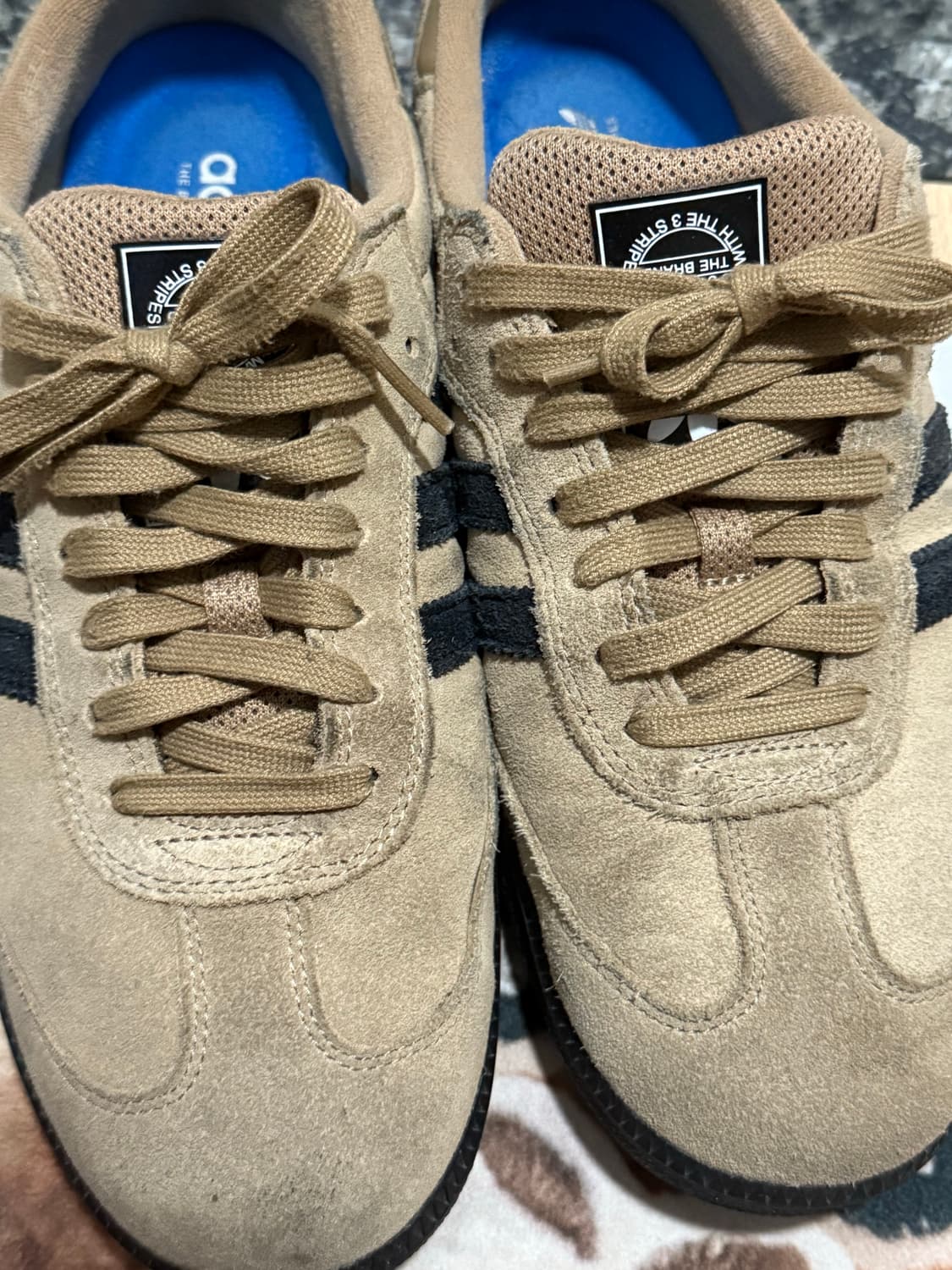 삼바 카드보드 상품이미지2