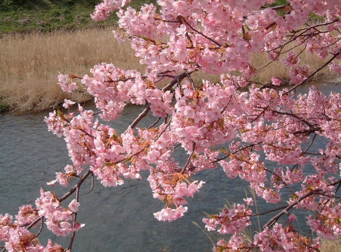 후지필름 finepix 4800z 상품이미지7