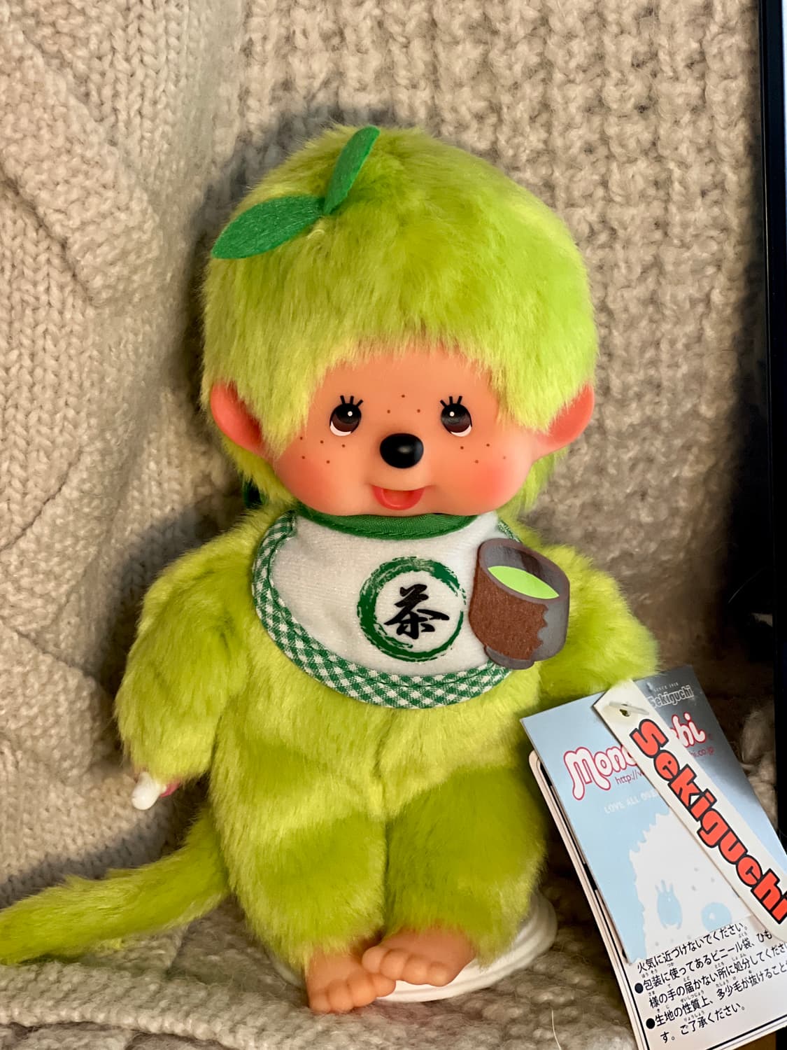 말차 몬치치 s (예쁜개체) 상품이미지2