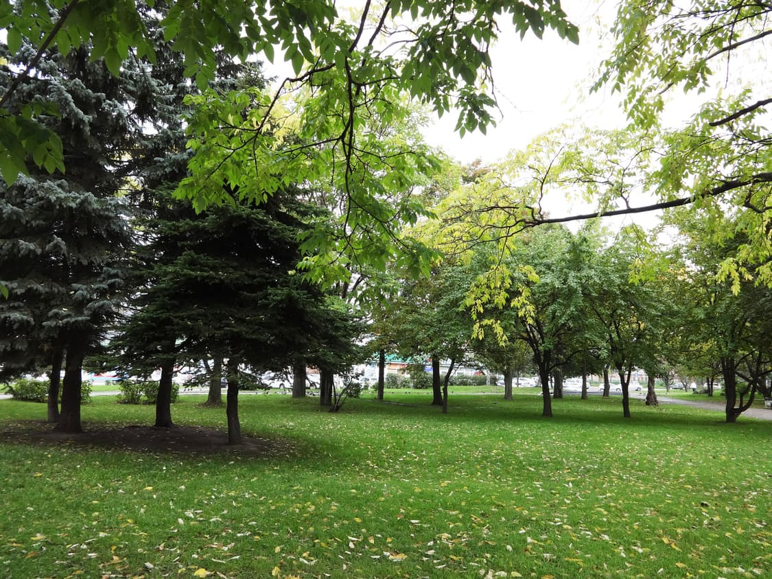 (색감/감성) 소니 SONY DSC-WX60 빈티지 디카 디지털카메라 상품이미지9