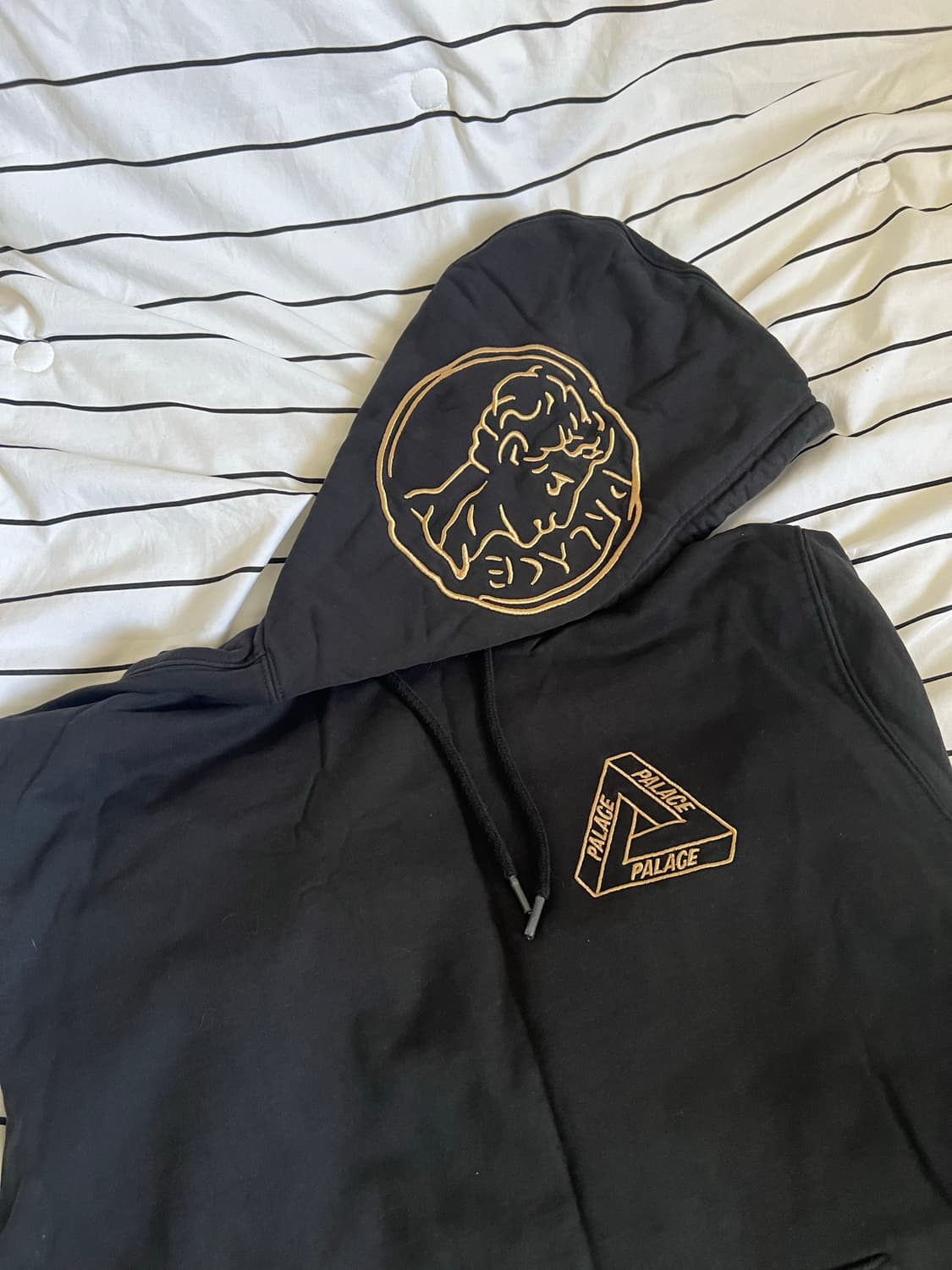 팔라스 트라이아키올로지 후드 상품이미지3