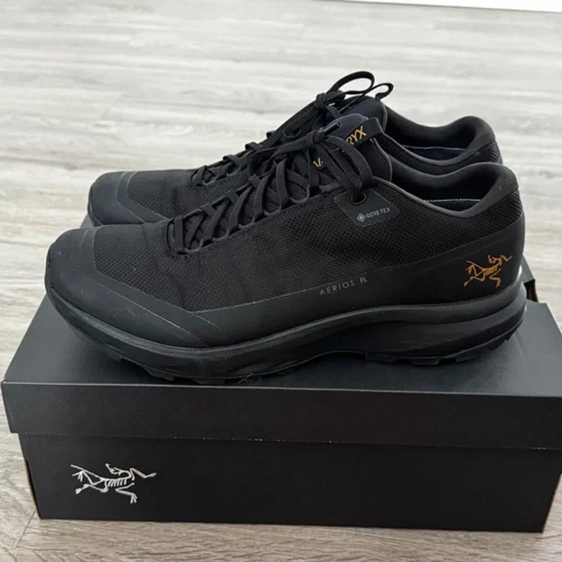  10.5 아크테릭스 에어리어스 FL GTX  남성용 블랙 고어텍스  상품이미지1