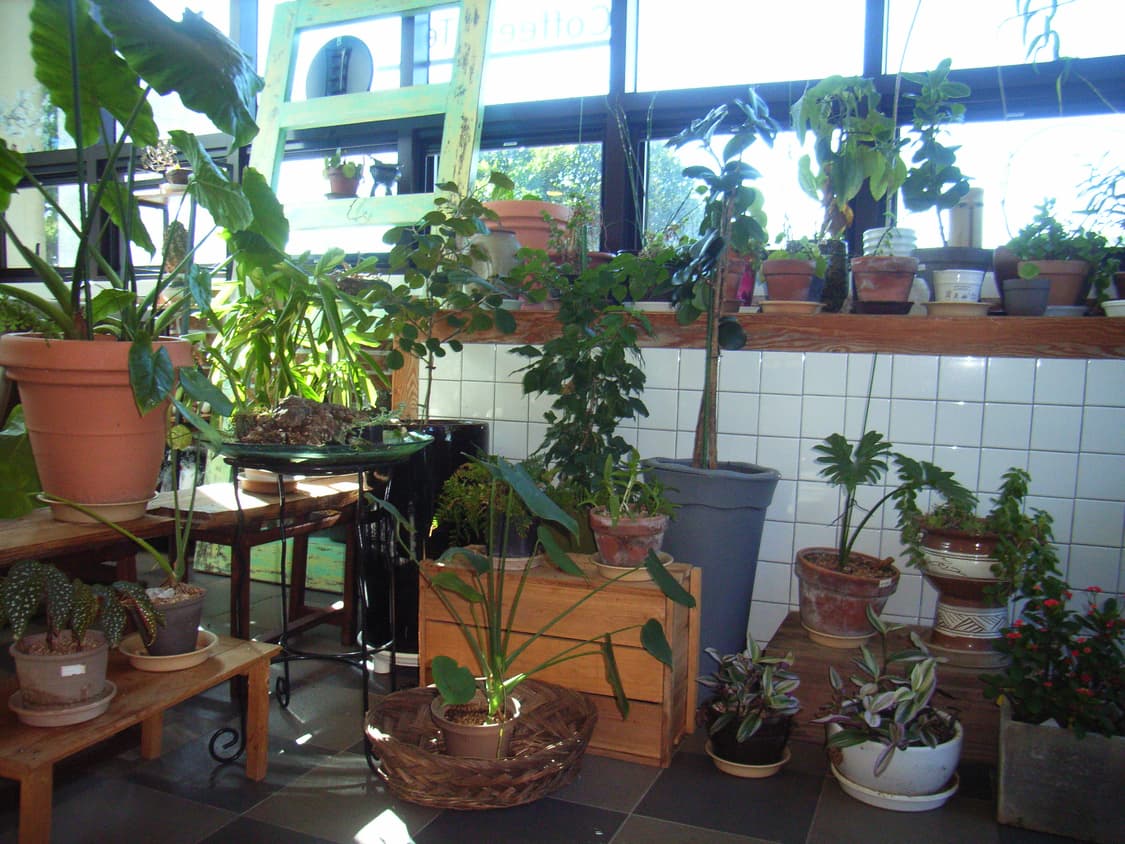 Ricoh Caplio R2 상품이미지7