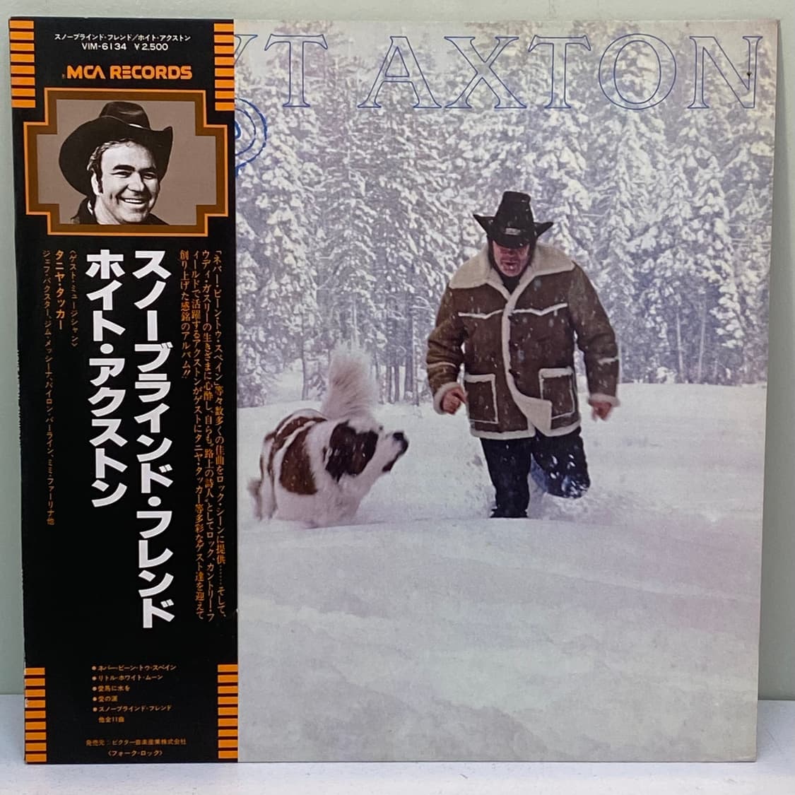 (LP) Hoyt Axton- Snowblind Friend 상품이미지1