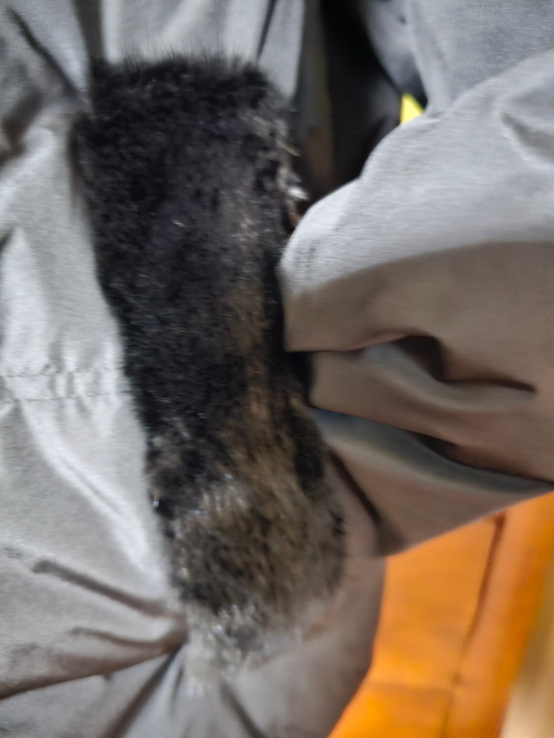 아이잗바바 천연밍크배색 구스패딩 상품이미지3