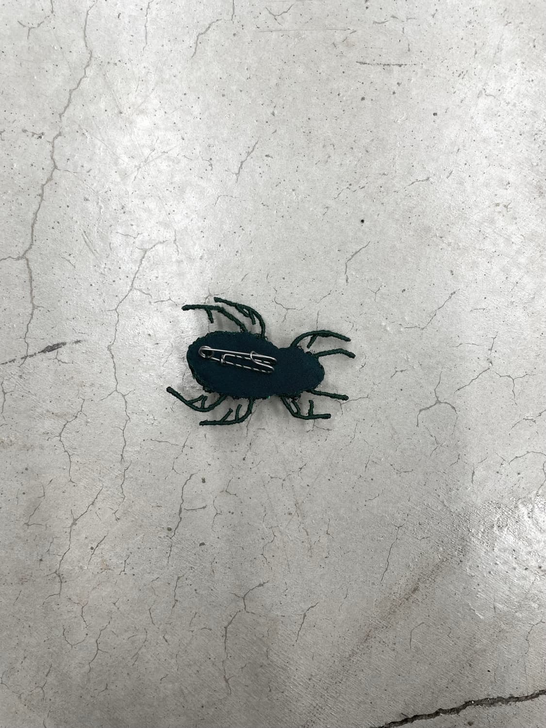 Ann demeulemeester ss09 beetle broch 상품이미지2