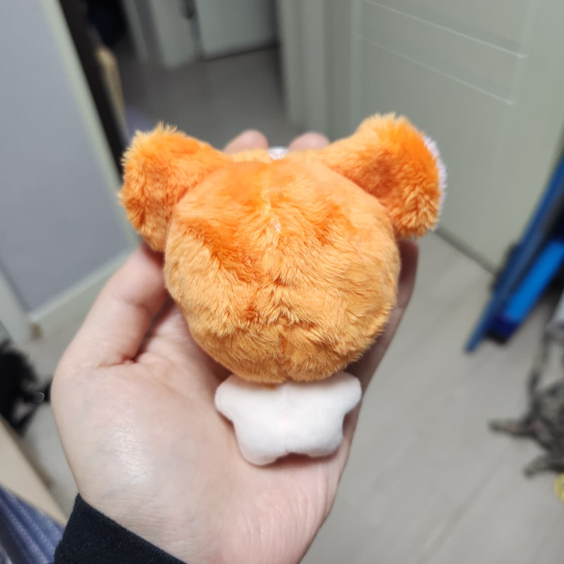 엔하이픈 희승 햄스터 인형 상품이미지2