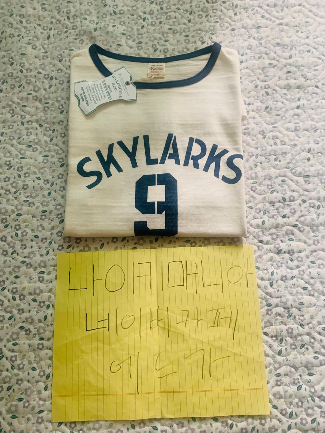 [XL] 웨어하우스 LOT 4059 SKYLARKS 9 링거티셔츠 크림 상품이미지9