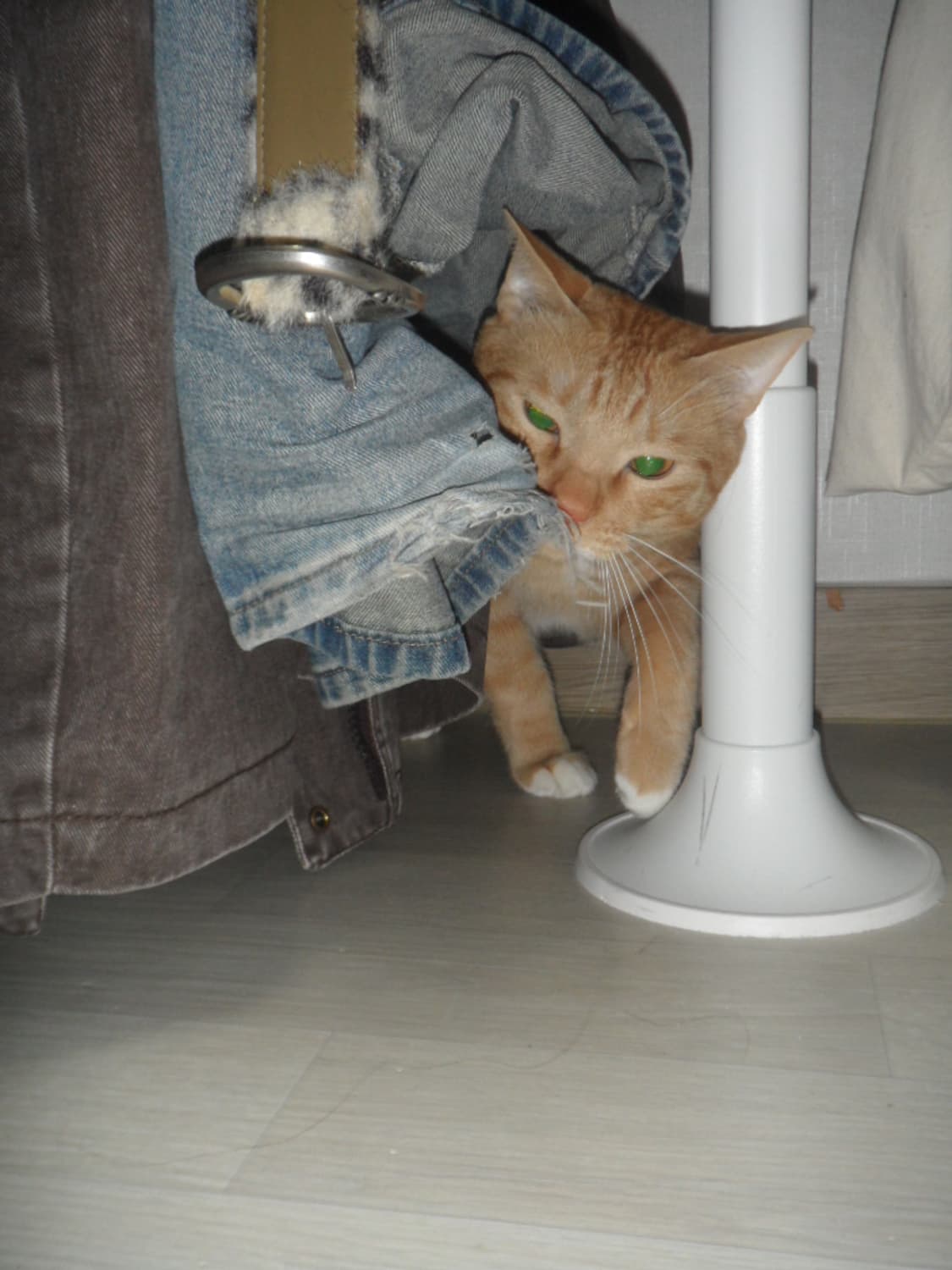 Samsung VLUU ST100 한효주디카 (작례⭕️) 상품이미지6