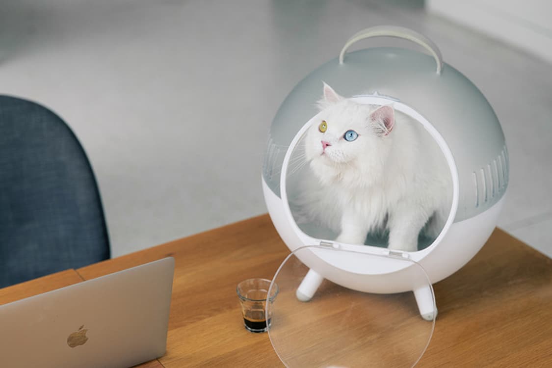 퓨리테일 고양이 이동하우스 상품이미지1