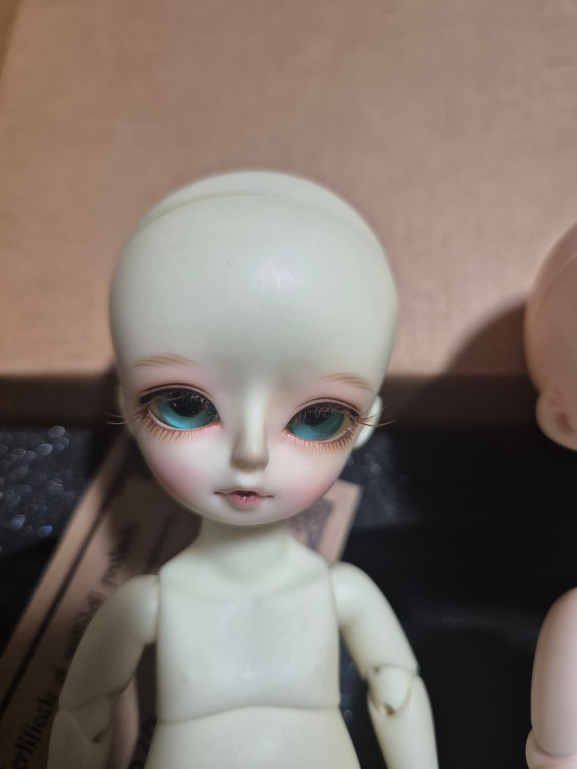 위드돌 포켓 BWD 사이즈 구체관절 구관 인형 상품이미지6