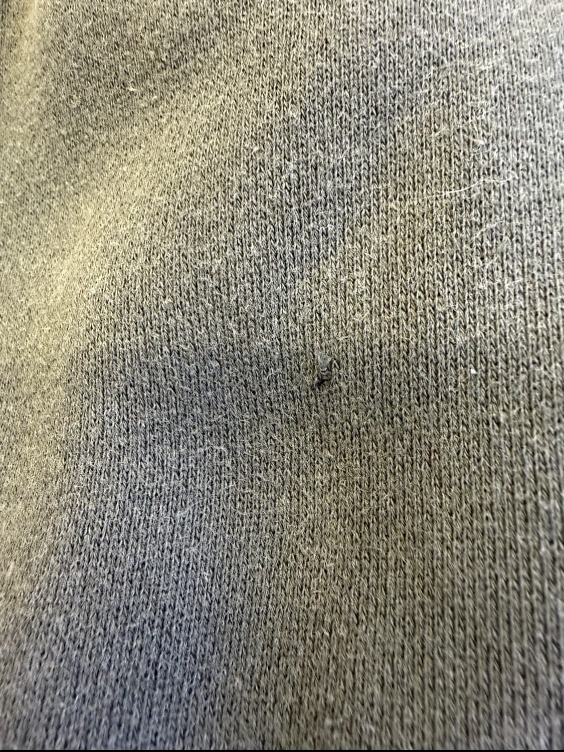 에센셜 스웻팬츠 1977 s 상품이미지5