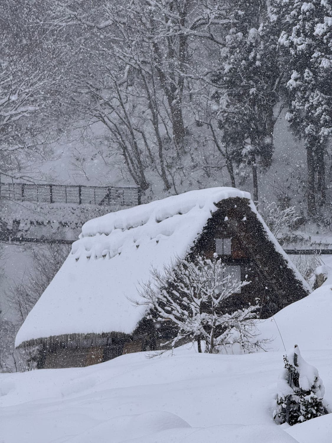개인거래창 상품이미지1