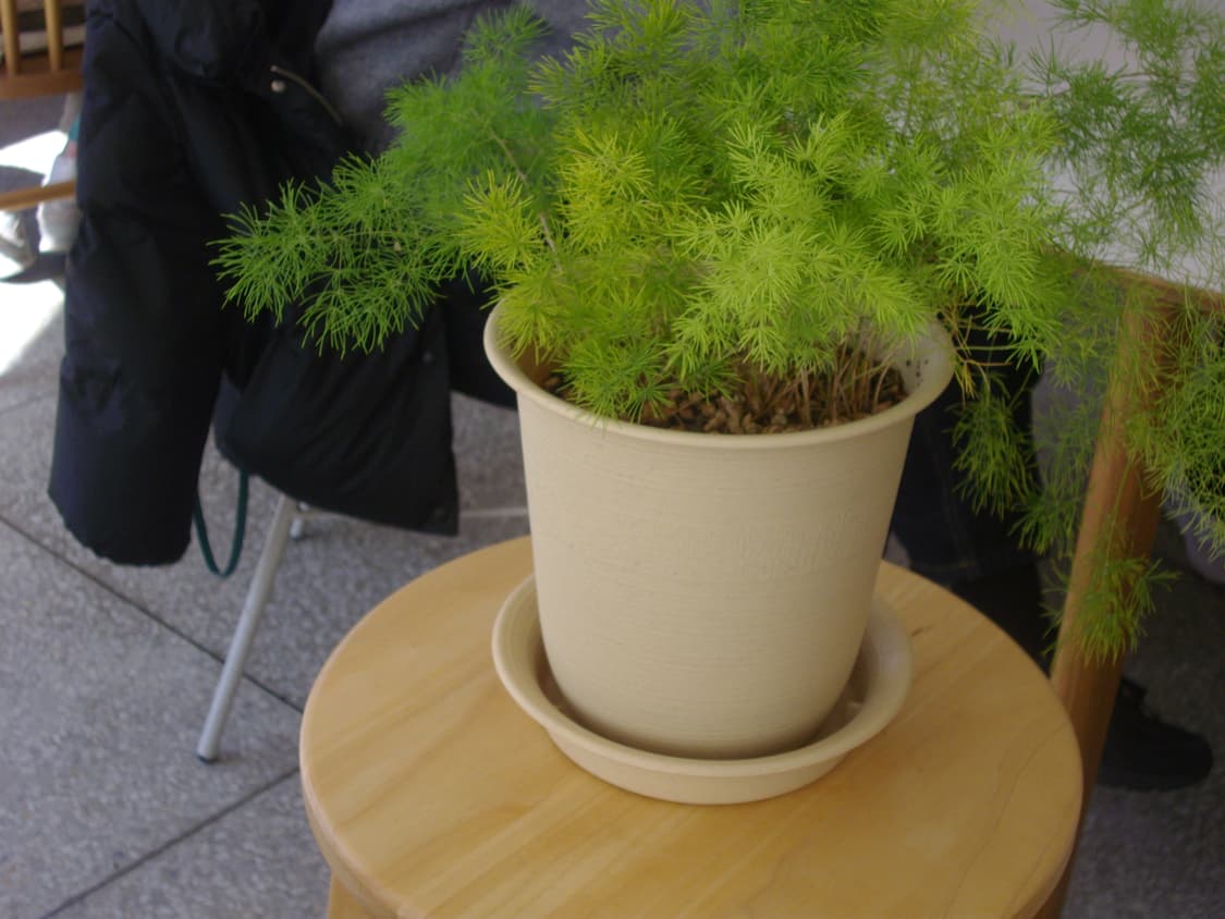 펜탁스 옵티오e50 팔아요 상품이미지9