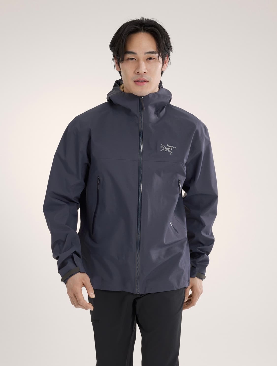 아크테릭스 베타 lt M 상품이미지4