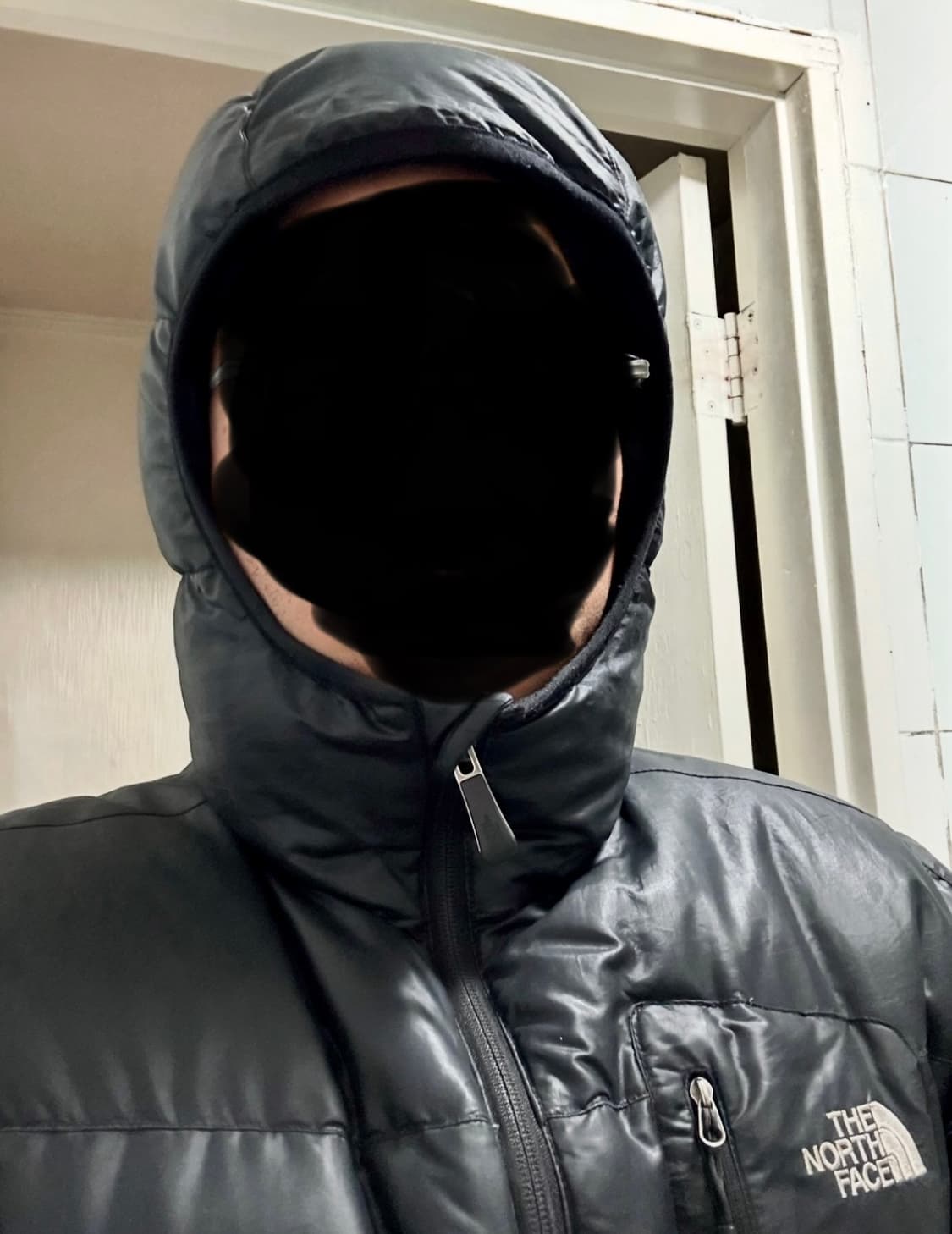 노스페이스 타호패딩  상품이미지4