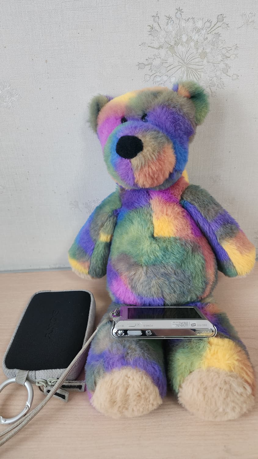 소니 사이버샷 DSC-T77 똑딱이 디카+케이스 상품이미지3