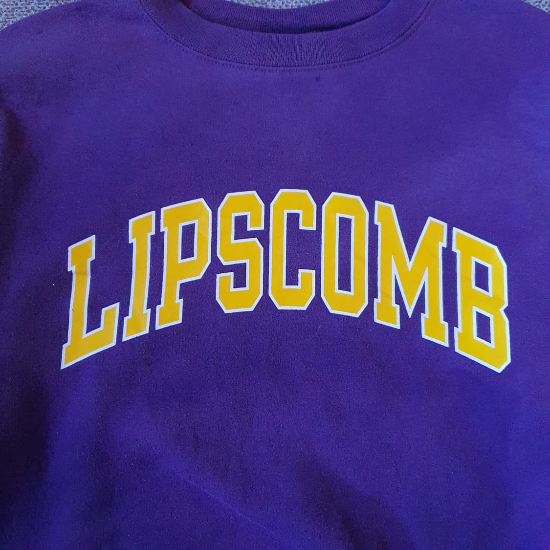 챔피온  맨투맨 기모 No.36 상품이미지3