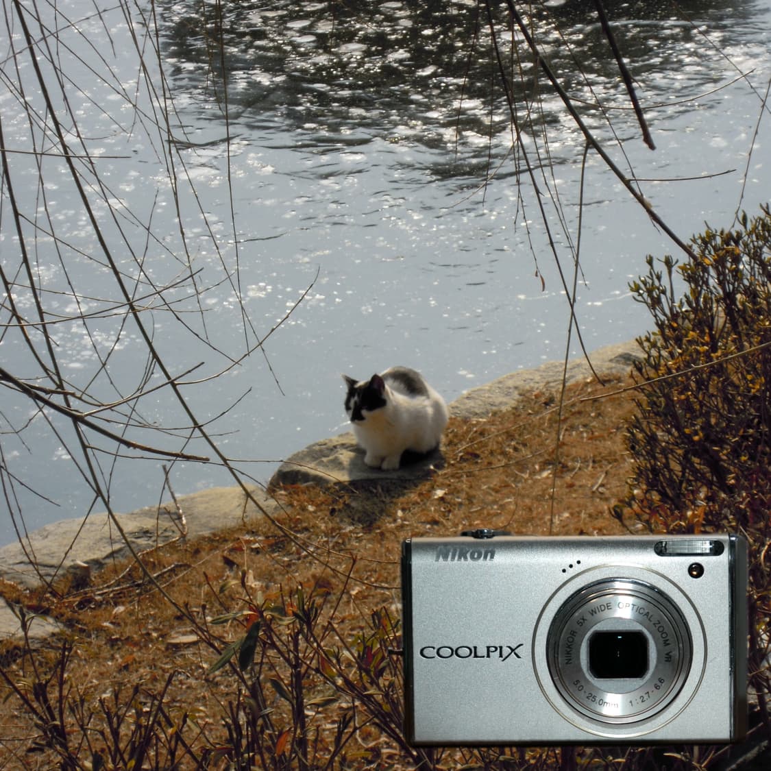 COOLPIX S640(✨A급/🎁풀패키지) 상품이미지2