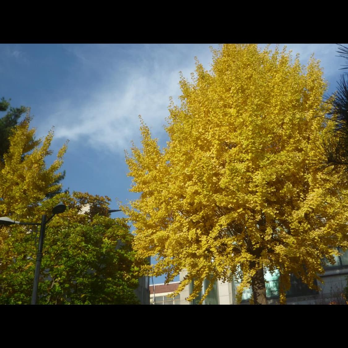 파나소닉 DMC-FT1  메탈릭 오렌지 선셋🍊빈티지 디카 디지털카메라 상품이미지8