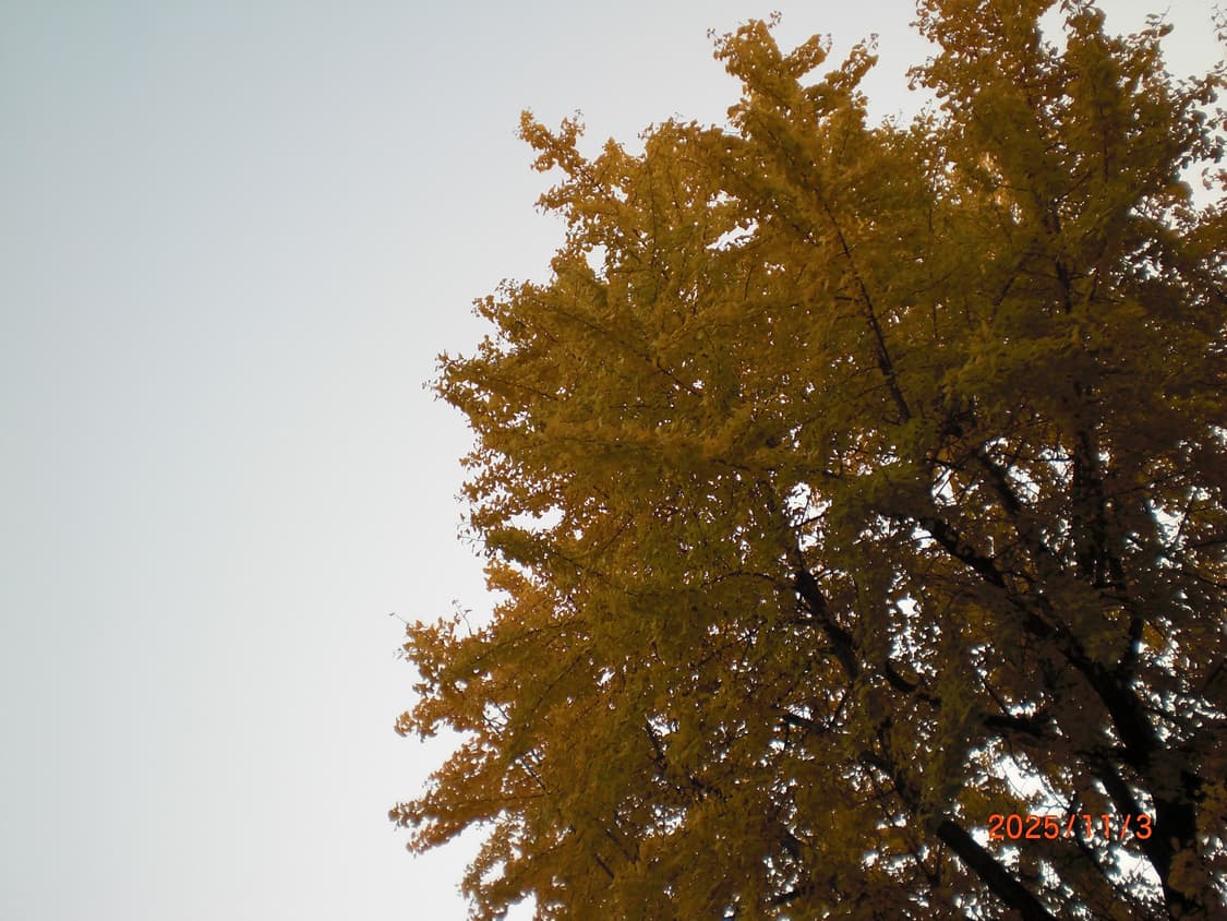 🫧카리나픽✨ CASIO EXILIM Z80 실버 🤍 상품이미지5