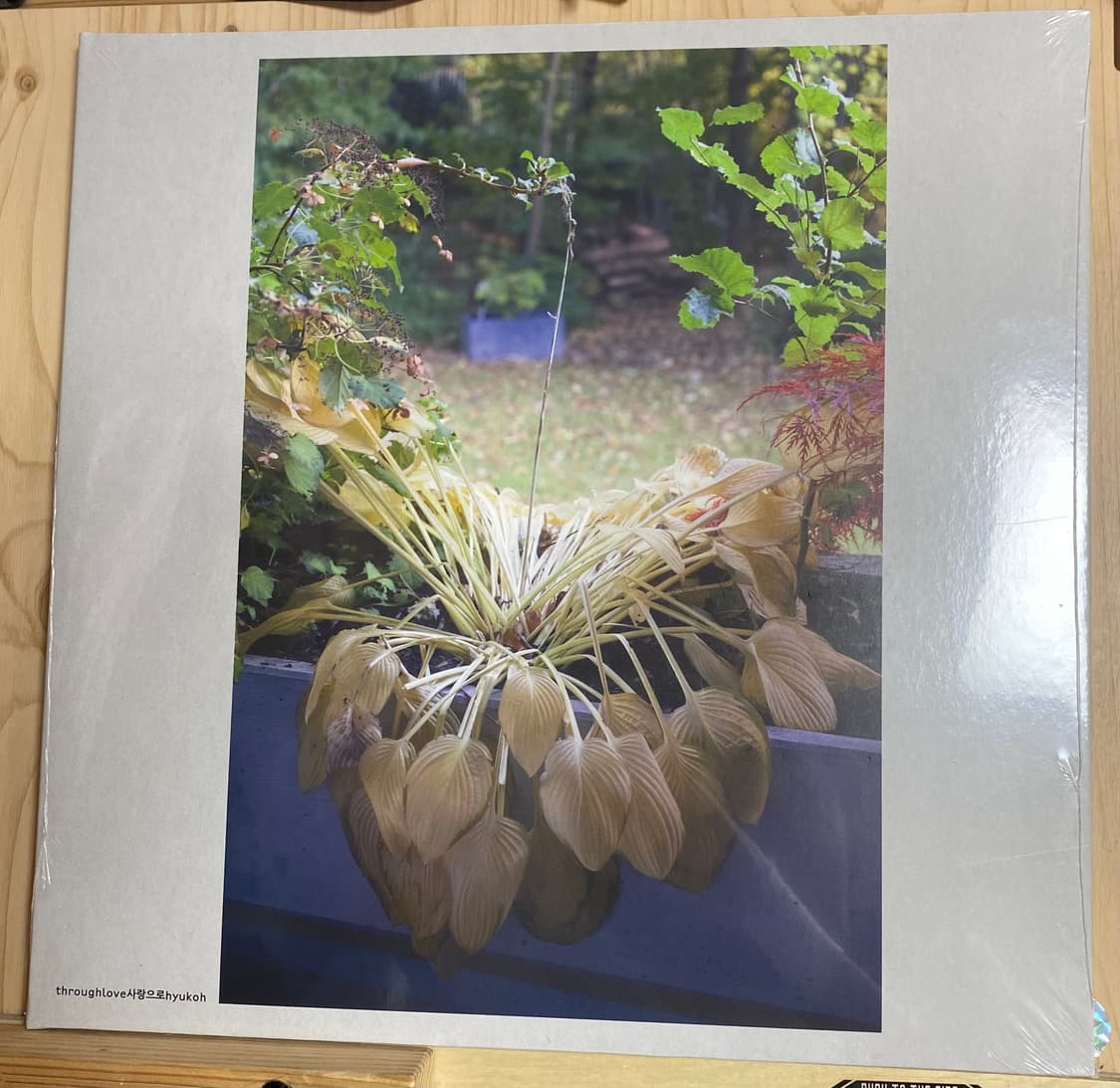 혁오 사랑으로lp 미개봉 새상품 상품이미지1